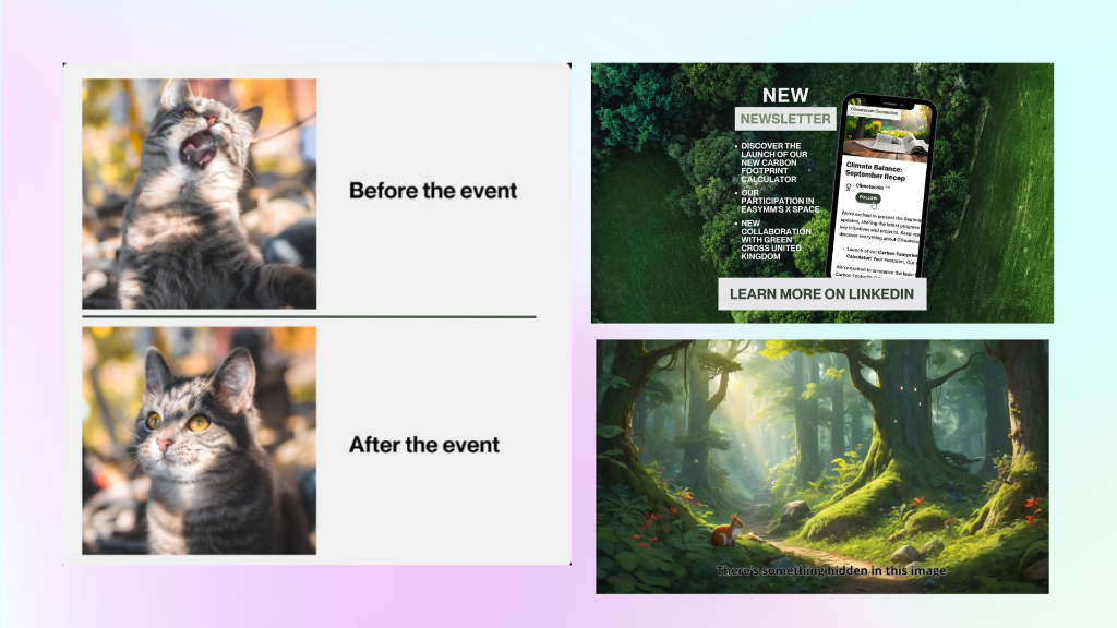 Visuals Slide 5